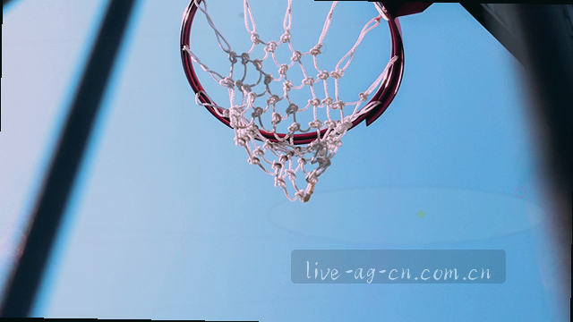 CS登录验证响应规程